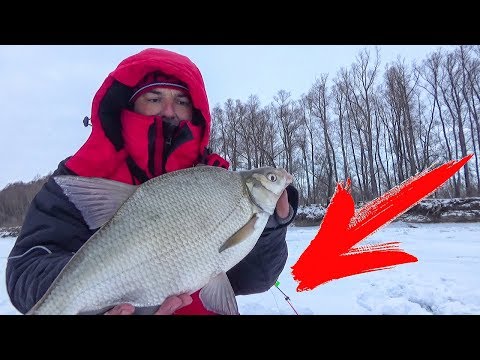 Видео: УЛОВИСТАЯ СНАСТЬ НА ЛЕЩА! СЕКРЕТНЫЙ МОНТАЖ КОМБАЙНА! Зимняя ловля леща