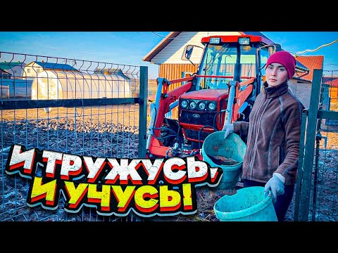 Видео: Работа на Ферме. Учёба и планы на будущее | Молодая Ферма