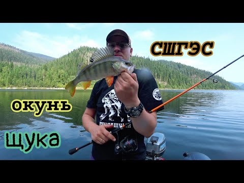 Видео: #СШГЭС Бархатный Август.  Баня на берегу Енисея. #окунь #щука