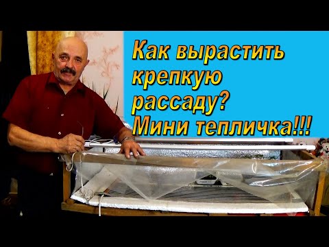 Видео: Мини тепличка для рассады - здесь вырастет всё!