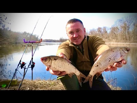 Видео: Перша КРУПНА ПЛОТВА ЗАЙШЛА в ПСЁЛ🐟 Ловимо на ФІДЕР!🐟