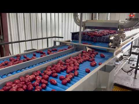 Видео: Линия мойки и сортировки картофеля Allround Vegetable Processing