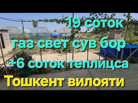 Видео: Уй сотилади Тошкент вилояти ОККОРГОН ТУМ 