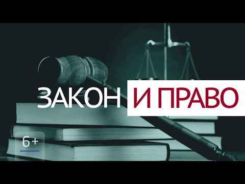 Видео: Закон и право. Защита трудовых прав граждан. Илья Румянцев
