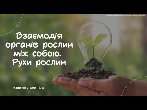 Видео: Біологія 7 клас НУШ Взаємодія органів рослин між собою  Рухи рослин