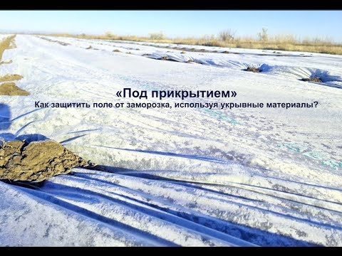 Видео: "Холодное оружие" природы  Часть 2