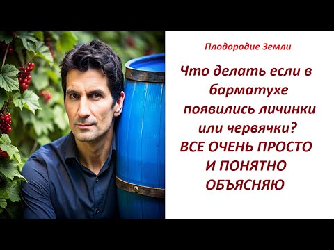 Видео: О червях в БАРМАТУХЕ! Нужно ли бояться этого? №609/24