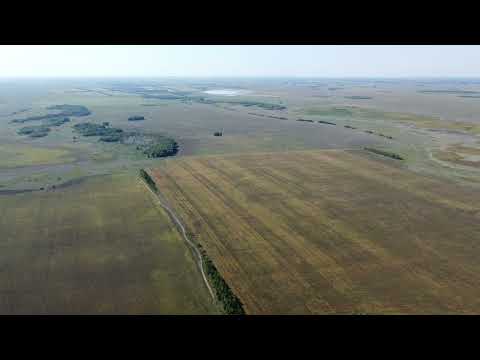 Видео: Карасукский район, аул Карасарт , 26.08.2023г.