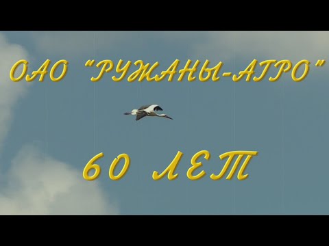 Видео: Экономика начинается с ответственности