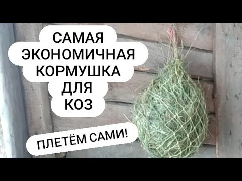 Видео: РЕПТУХ. ПЛЕТЁМ ВМЕСТЕ! #кормушкадлякоз #рептух #козы