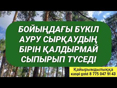 Видео: Бойыңнан бір де бір ауруды таппай қаласың 3)31,12-22