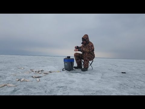 Видео: Капшагай, побег с оторванной льдины. Закопанная машина. 09.03.25 г.
