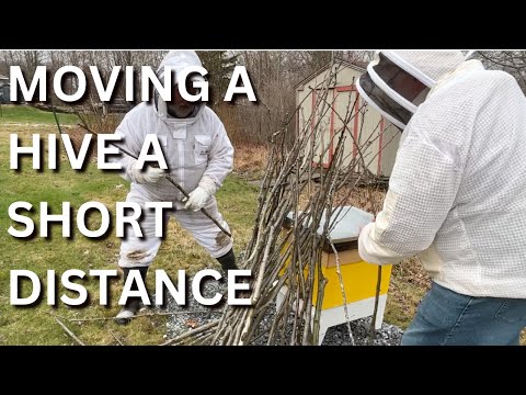 Видео: Перемещение улья на небольшое расстояние