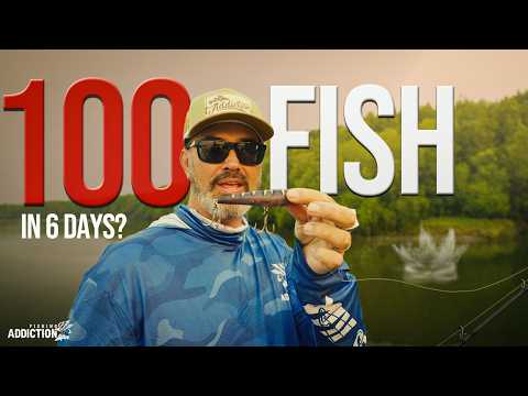 Видео: 100 Barramundi Challenge в отдаленной Австралии