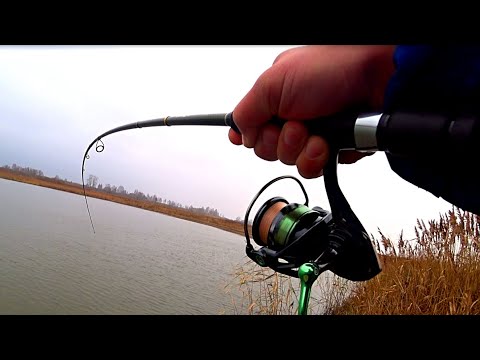 Видео: Эти ЩУКИ рвут поролон в клочи ! ДЖИГ с БЕРЕГА! Рыбалка на спиннинг с берега в ноябре!