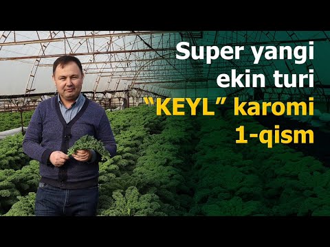 Видео: СУПЕР ЯНГИ КЕЙЛ Кароми. 1-Қисм
