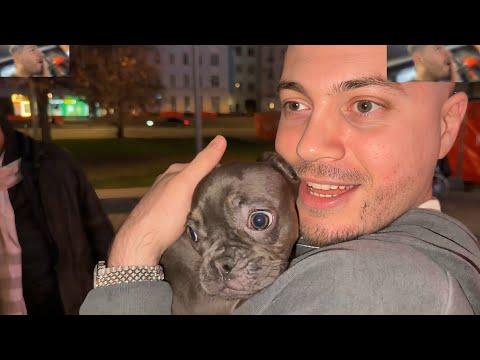 Видео: Анар, Наваи и Ekatze Купили собаку