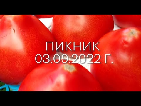 Видео: Пикник 03.09.2022 г.