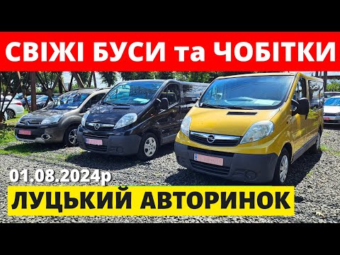 Видео: СВІЖІ ЦІНИ НА БУСИ та ЧОБІТКИ /// ЛУЦЬКИЙ АВТОРИНОК /// 01.08.2024р. #буси #автопідбір #автобазар