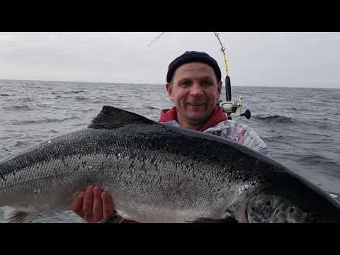 Видео: Морское чудо !!!