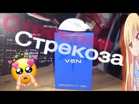 Видео: VGN - другой уровень