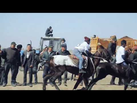 Видео: Халкабат Наурыз байрам 2023 жыл  АТ шабыс 13 айламга