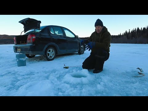 Видео: 10 минут и лимит? Или не всё так просто.Рыбалка на Аляске.