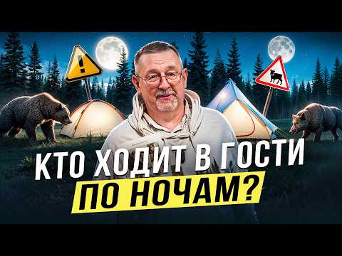Видео: Как не привлечь дикого зверя в лагерь? Михаил Кречмар