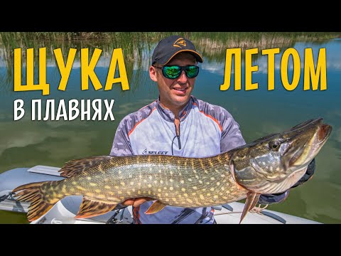 Видео: ЩУКА В ПЛАВНЯХ. Как и на что ловить летом в жару?