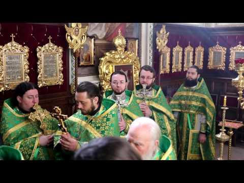 Видео: Литургия в день памяти блаженной старицы, преподобной Софии Клисурской