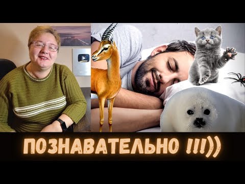 Видео: РЕАКЦИЯ МАМЫ НА [kussia - 1488 ИНТЕРЕСНЫХ ФАКТОВ!!!]