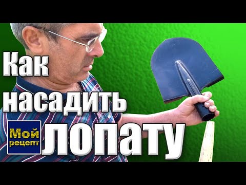 Видео: Как правильно насадить лопату на черенок?