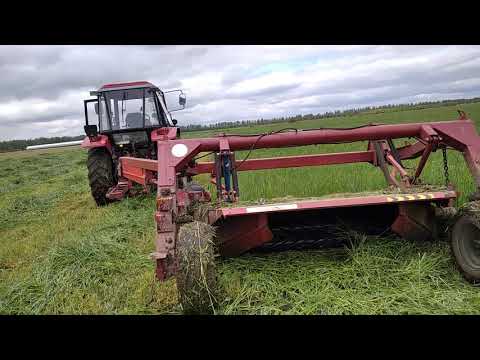 Видео: Косилка с плющилкой: плюсы и минус