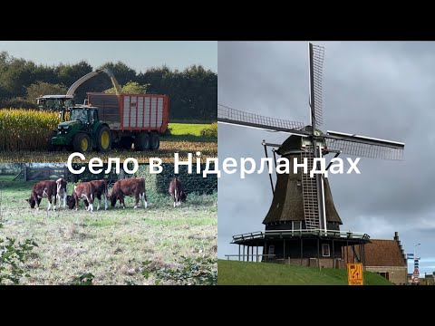 Видео: Село в Нідерландах- яке воно є 