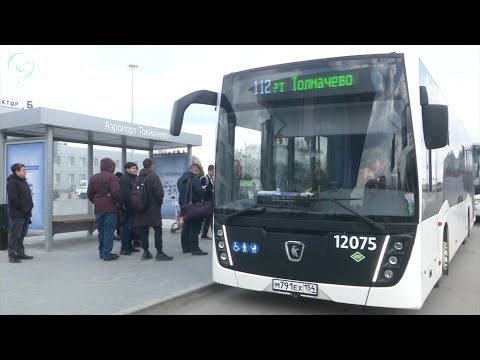 Видео: Новый автобусный маршрут в аэропорт Толмачёво запустили в Новосибирске