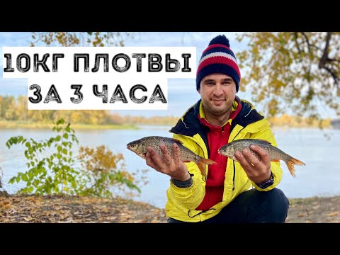 Видео: 🐠ПЛОТВА ОСЕНЬЮ КЛЮЁТ КАЖДУЮ МИНУТУ СЕКРЕТ УСПЕХА