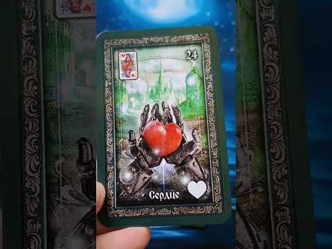 Видео: #ЛЕНОРМАН_РУССКИЕ_СКАЗКИ Автор: Мария Амосовская