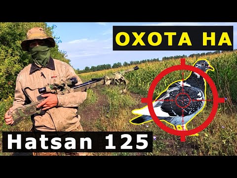 Видео: ПЕРВАЯ ОХОТА НА ВЯХИРЯ (дикий голубь) с ПНЕВМАТИКОЙ 4.5 мм