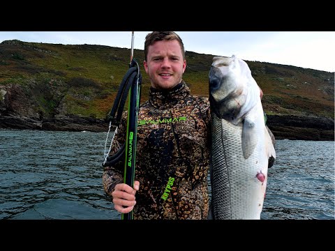 Видео: Подводная охота на крупного окуня с Salvimar Hero 115