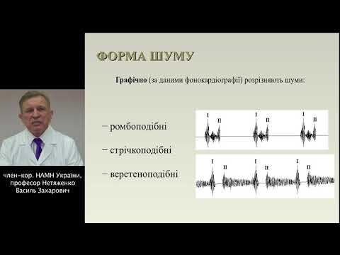 Видео: Лекція: "Аускультація серця: органічні та функціональні серцеві шуми"