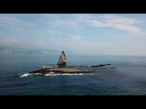 Видео: История Камчатского края