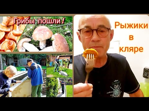 Видео: Всем отличной  Субботы !!!   А у нас- и дача, и лес, и магазин.. Насыщенный  день!