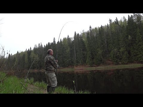 Видео: Вечерняя рыбалка на Луге. Чудесные пейзажи.