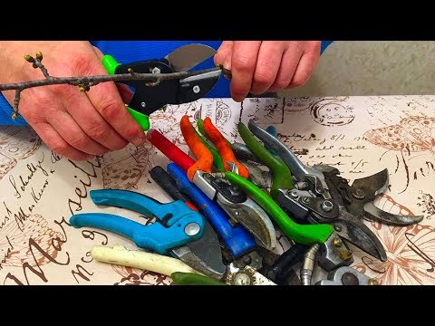 Видео: Выбираем ПРАВИЛЬНЫЙ СЕКАТОР / дёшево и сердито ! / best pruning pruner