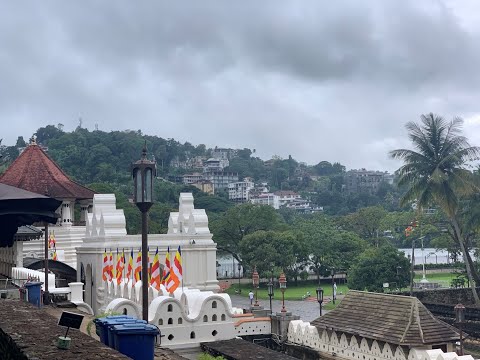 Видео: Sri Lanka Tour (Part 1) - Tea factory, Peradeniya, Kandi, Matale (Тур по Шри-Ланке, часть 1)