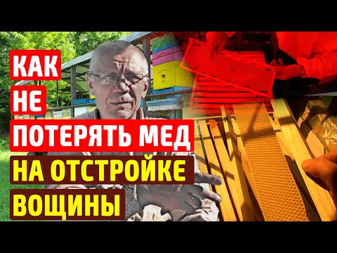 Видео: Отстройка вощины Как ставить вощину пчелам чтобы вместо сбора меда не строили соты