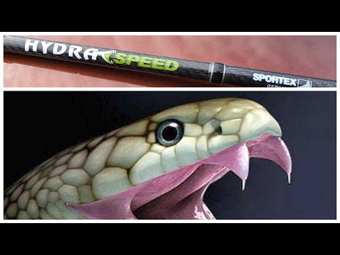Видео: HYDRA Speed - Твичевый ПитБуль!