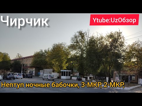 Видео: #Узбекистан г.Чирчик Нептуп ночные бабочки, 3-МКР, 2МКР, 20-Школа, 7-Школа