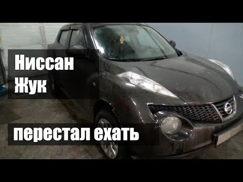 Видео: Ниссан Жук не едет вообще | Джатко-Сервис
