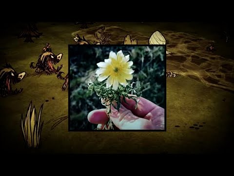 Видео: КрипиКульт 1 - Жуткий Контент, Каверзные Вопросы, Новые Лица, Про Майнкрафт. Подкаст @SenderKek